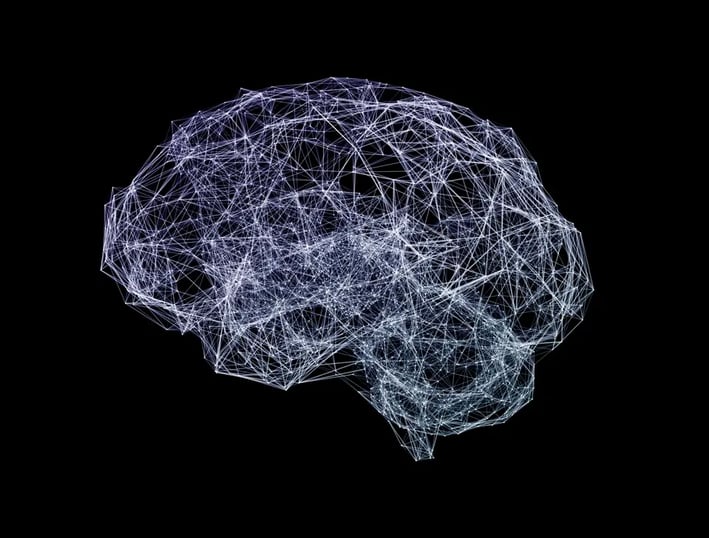 Neuroplasticity And The Brain Science Behind Exceptional Leadership