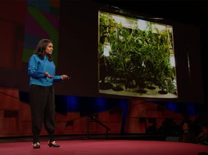 Why we need to imagine different futures?