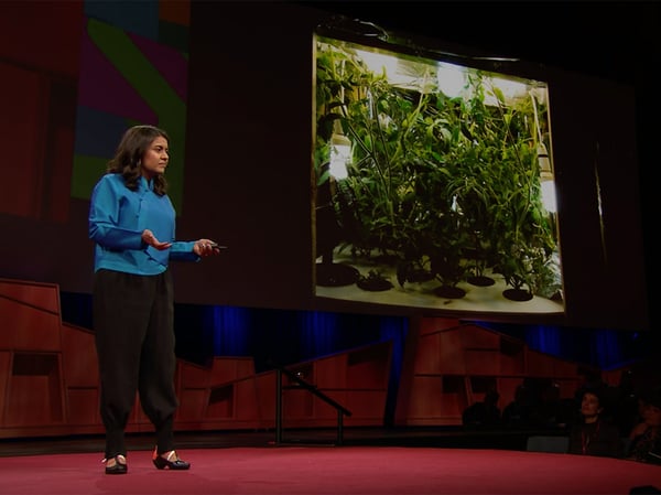 Why we need to imagine different futures?