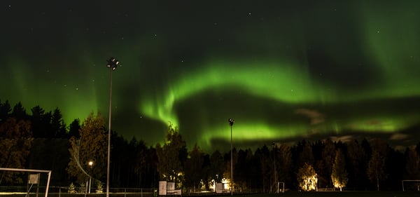 In-Resort CX Managerin matkapäivä­kirja