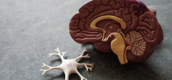 Evoluutiosta kannattavuutta liiketoimintaan